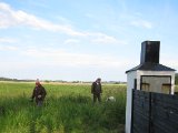 IMG 1704  Der er øves duer