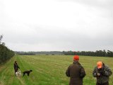 IMG 2616  Unghunde ude mens næste hold unge venter og piben blæses igang