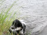 IMG 1739  Det er godt