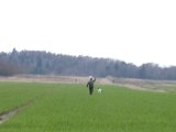 DSC02397  den var der og rejsning og det hele!