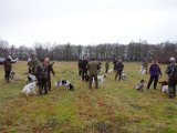 DSC02350  og de er hunde virvar