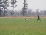 IMGP3354  Allan ude..han tager aldrig regntøj på .. så han er til at kende