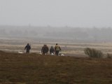 ESK Kongenshus Feb 2015