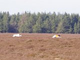 IMGP3072  så den anden vej