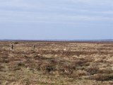IMGP3110  og der blir ved med at være horizont tilbage at gå på