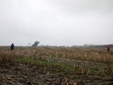DSC04321