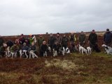 DSC06114  hele banden