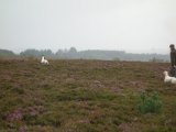 DSC06700