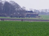 IMGP6023