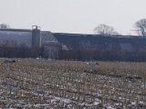 IMGP6549