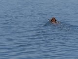 DSCF6965