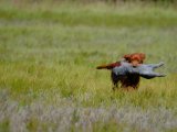 DSCF7033