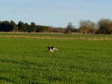 DSCF6287