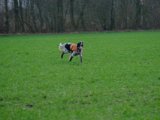 DSCF6219