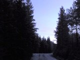 081231 154746  Vil fotografere måne + stjerne men kammeraet er dødt .. kun mobilen virek .. tip..tip poter på isen ???