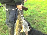 080127 115951  Flå og ruske.. efter endt veludført arbejde