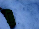 DSCF1911  Store poter ja .. men runde el aflange? , svært at se tydeligt i den meget løse sne. Presset billedet for at få mest kontrast