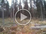 VIDO0025  Harjakt m Björn: Hunden har just släpts