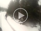 VIDO0062  23 Dec og tö - men Björn har lurat haren enddå