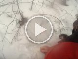 VIDO0064  Haren tags ut