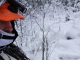 DSC00209  OK rykker så frem i nærhende af hvor haren var sprunget over