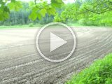 PAEG0176  Sådan 'føles' det fra videoen synspunkt..den stopper hver ganf  spejrefelks bibbermed auto fokus og så 'klik-klak' med spejlet
