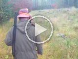 PAEG0236  på til en formiddgas såt langs lysning