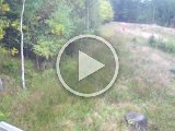 PAEG0223  driver frem i lysning