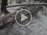 PAEG0275  såt2 afblæst..der var 'bid'