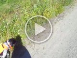 PAEG0213  men efter en hel del skovløb = slid .. humpe dumpe! ->hjem