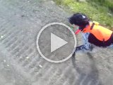 PAEG0214  det ser slemt ud .. men er'bare'  slid .. håber vi fikser det hurtigt
