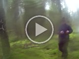 PAEG0289  og Robert følger med i den våde skov