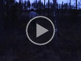 MAH02679 1  hjemturslæbet over stok og sten