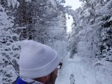 DSC05958  går alene ned om Bjh og ned mod Fransermossen