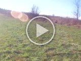 PAEG0435  Taget ud alen, Hap' finder og rejser.. Jeg Bummer/%&/%¤ - men Hap' setter efter. Det der knaldapport'instinkt' er noget /&/%¤