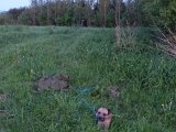 DSC00676
