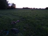 DSC00677