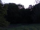 DSC00679