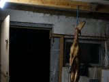 DSC00683