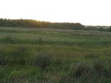DSC00824