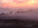 DSCF5567