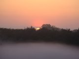 DSCF5574