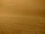 DSCF5581