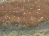 DSCF5584