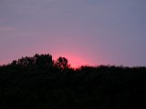 DSCF5739