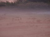 DSCF5749