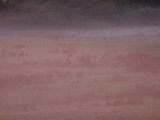 DSCF5750