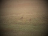 DSCF5757