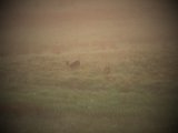 DSCF5758
