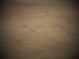 DSCF5759